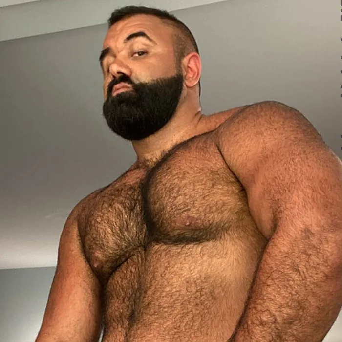 Persian Wolf